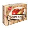 Hem Cones Cinnamon Apple